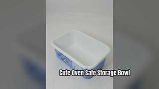 Cute Enamel Storage Bowl Oven Safe Food Container